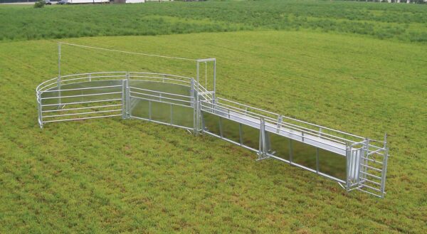 Sheep & Goat Livestock Handling System B