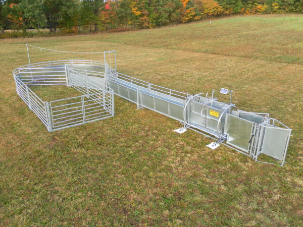 Sheep & Goat Livestock Handling System W