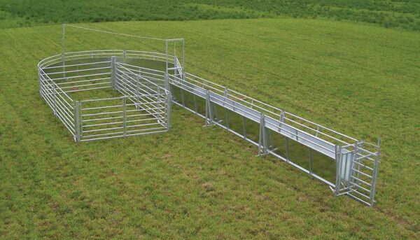 Sheep & Goat Livestock Handling System C