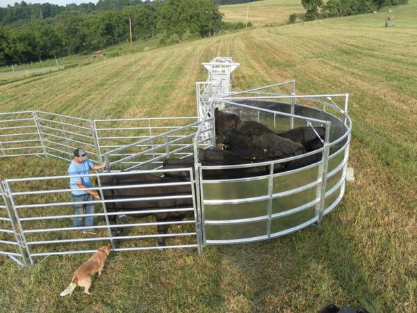 TB20180 Cattle Tub System - Image 2