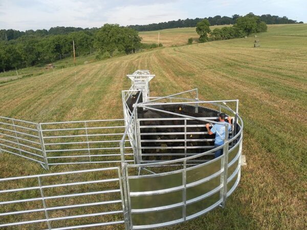 TB20180 Cattle Tub System - Image 3