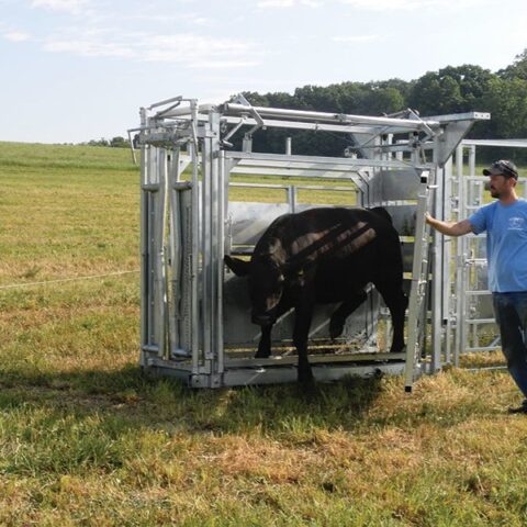 MC90 Cattle Chute