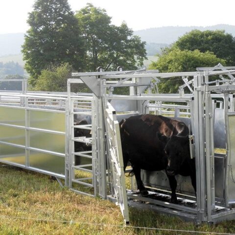 MC90 Cattle Chute - Image 8